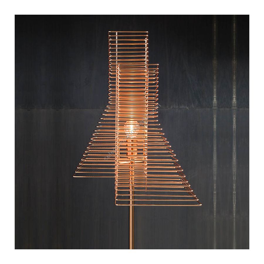 Floor lamp / Iron wire thread / Copper finish